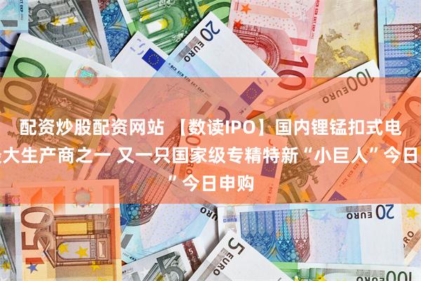 配资炒股配资网站 【数读IPO】国内锂锰扣式电池最大生产商之一 又一只国家级专精特新“小巨人”今日申购