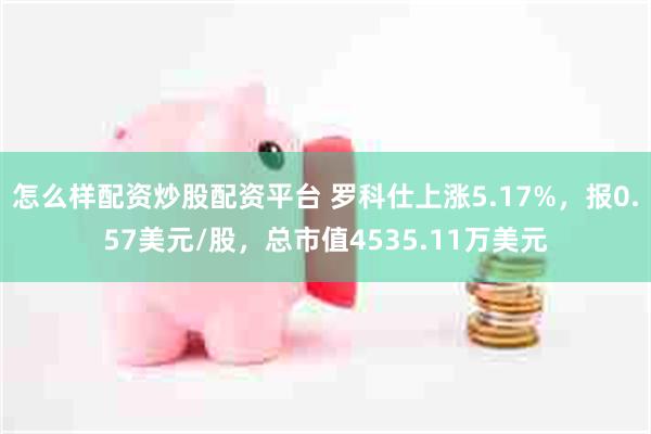 怎么样配资炒股配资平台 罗科仕上涨5.17%，报0.57美元/股，总市值4535.11万美元
