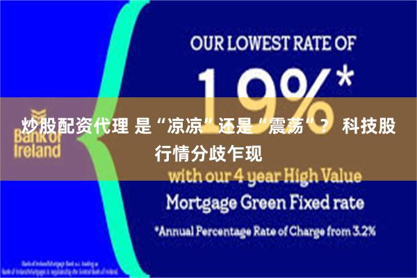 炒股配资代理 是“凉凉”还是“震荡”？ 科技股行情分歧乍现