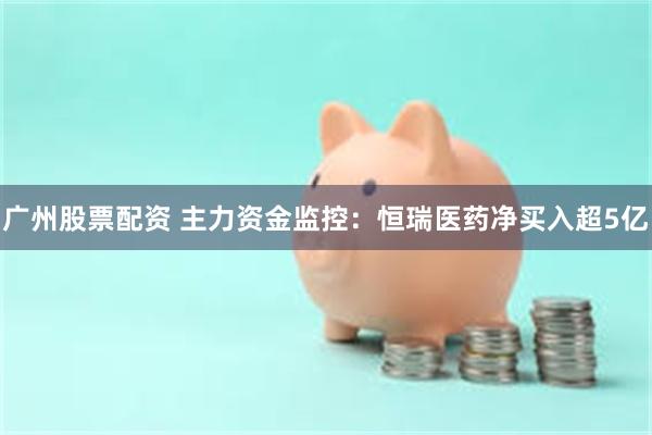 广州股票配资 主力资金监控：恒瑞医药净买入超5亿