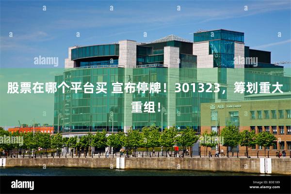 股票在哪个平台买 宣布停牌！301323，筹划重大重组！