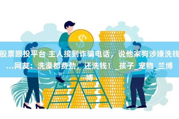 股票跟投平台 主人接到诈骗电话，说他家狗涉嫌洗钱...网友：洗澡都费劲，还洗钱！_孩子_宠物_兰博