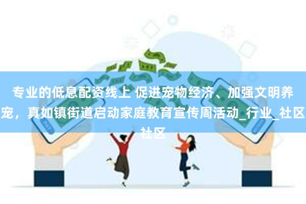 专业的低息配资线上 促进宠物经济、加强文明养宠，真如镇街道启动家庭教育宣传周活动_行业_社区