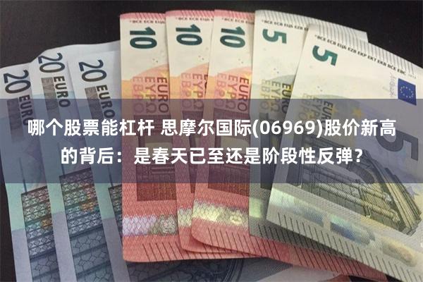 哪个股票能杠杆 思摩尔国际(06969)股价新高的背后：是春天已至还是阶段性反弹？