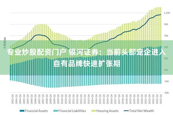 专业炒股配资门户 银河证券：当前头部宠企进入自有品牌快速扩张期