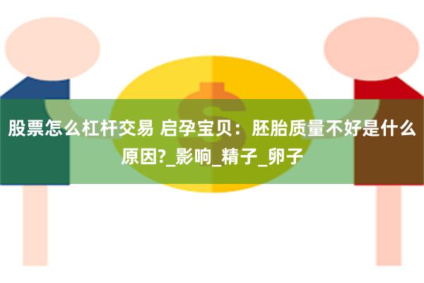 股票怎么杠杆交易 启孕宝贝：胚胎质量不好是什么原因?_影响_精子_卵子