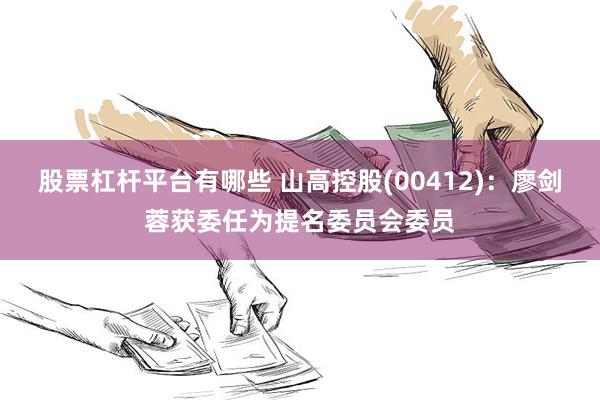 股票杠杆平台有哪些 山高控股(00412)：廖剑蓉获委任为提名委员会委员